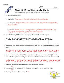 Transcription & translation summary for each example a. Worksheet: DNA, RNA, and Protein Synthesis