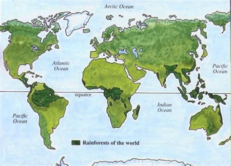 Map Of Rainforests Of The World Rainforest Map Rainforest Where Is