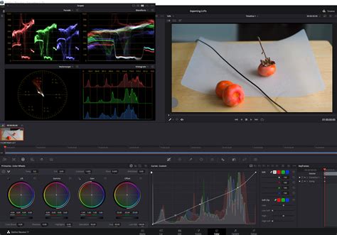 How To Import And Export Luts In Davinci Resolve