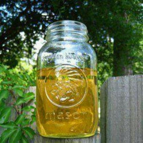 She's been making this moonshine for the past couple of years. Apple pie moon shine | Apple pie moonshine, Moonshine ...