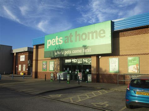 Pets At Home Uk See Sales Increase In The Fourth Quarter Of 2020