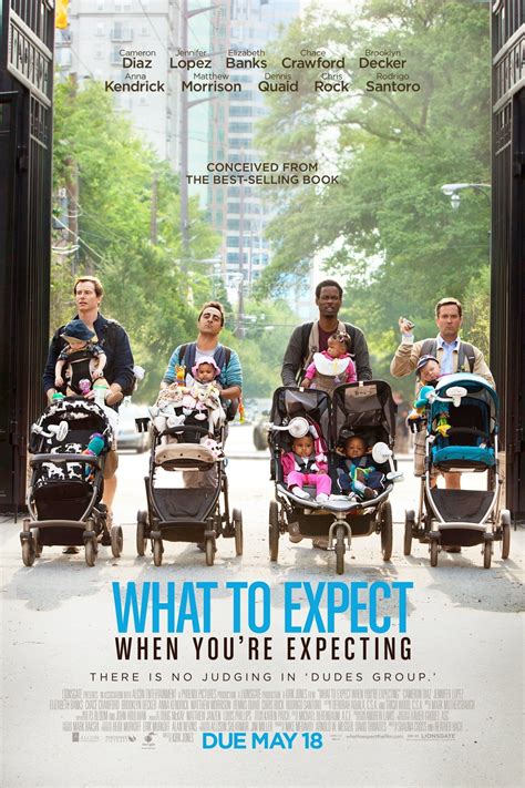 What To Expect When Youre Expecting 2012 Posters — The Movie