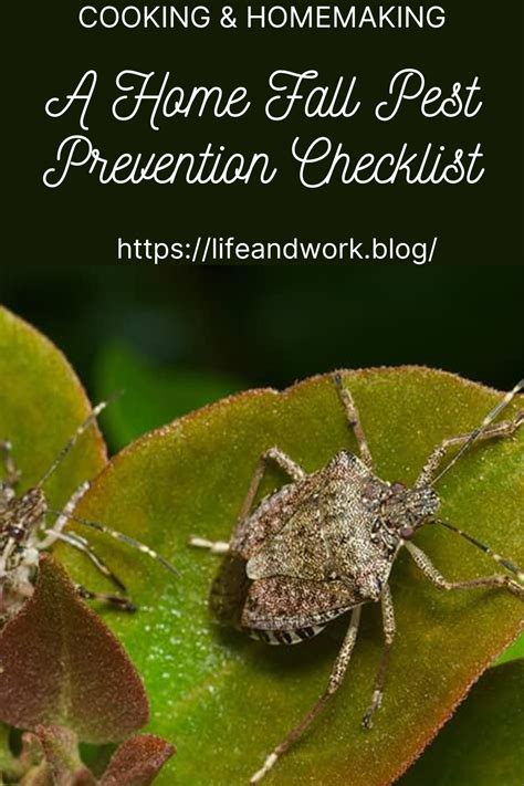 A Home Fall Pest Prevention Checklist