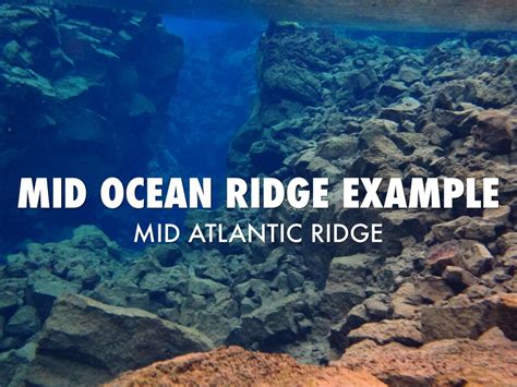Atlantic Mid Ocean Ridge African Rift Valley Ocean Wildlife List