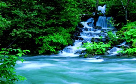 Forest Waterfall Wallpapers Top Free Forest Waterfall Backgrounds