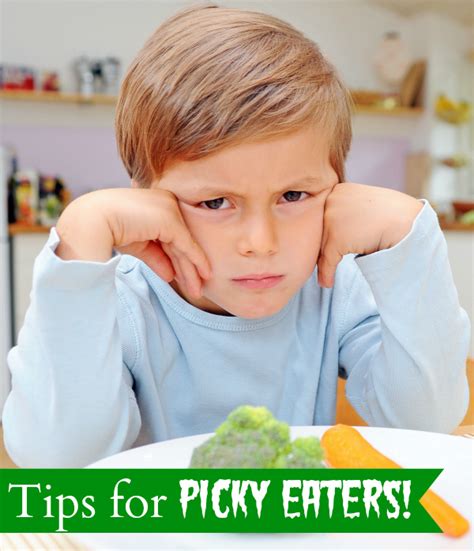 5 tips in 5 minutes tips for picky eaters live video hangout true aim