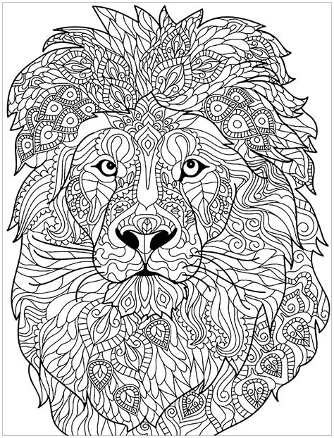 Lion Complex Patterns Lions Adult Coloring Pages