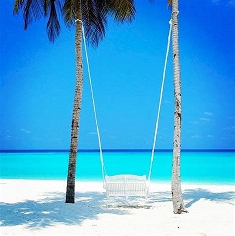 Best Of The Maldives Tree Swing One And Only Reethi Rah Maldives