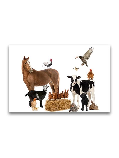 Collage Of Farm Animals Poster Image By Shutterstock Ebay