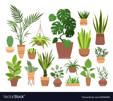 Plant In Pot Set Cartoon Flat Royalty Free Vector Image