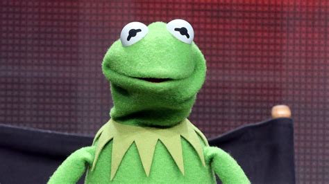 Kermit face kermit the frog funny kermit memes cute memes sapo kermit frog wallpaper frog meme cute frogs mood pics. Kermit the Frog: There's no new lady (pig) in my life - CNN