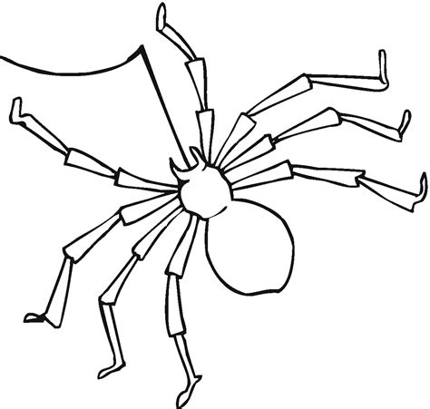 Spider coloring page pumpkin coloring pages fall coloring pages cat coloring page coloring pages for kids coloring books fairy coloring kids coloring colouring. Free Printable Spider Coloring Pages For Kids