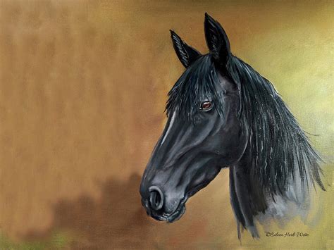 Black Horse Portrait Painting By Eileen Herb Witte Fine Art America