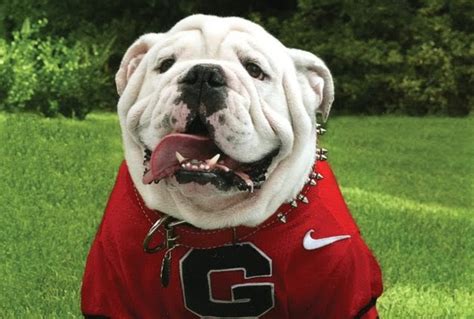 The Sporting Dudes Eulogy For Uga