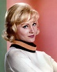 Susan Oliver | Susan oliver, Vintage movie stars, Celebrities