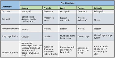 Whittaker System Of Classification Classification Of Living Organism Categories Of