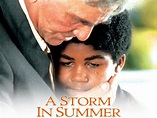 A Storm in Summer (2000) - Rotten Tomatoes