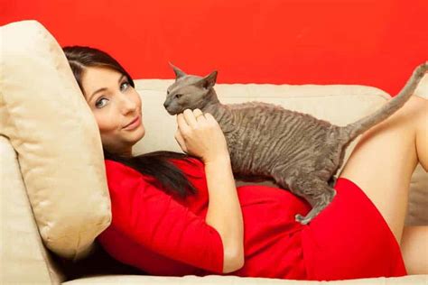 What should we do for normal delivery in pregnancy. Toxoplasmosis and Pregnancy - Should I Get Rid Of My Cat? | BellyBelly