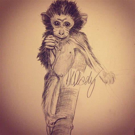 Baby Monkey Sketch At Explore Collection Of Baby