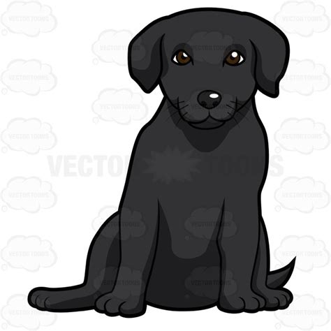 The Best Free Labrador Vector Images Download From 64 Free Vectors Of