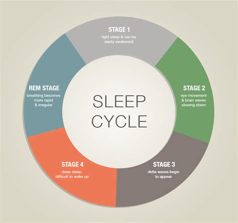 learn how to sleep better by understanding sleep cycles and stages european bedding