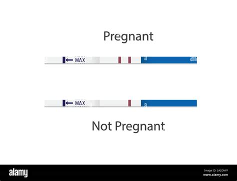 Pregnancy Test Strips Negative And Positive Option Set For Pregnant