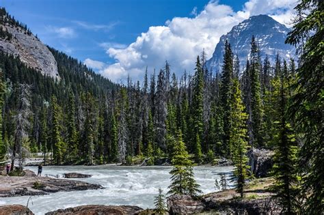 9 Best National Parks In Canada Things To Do In Canada Canada