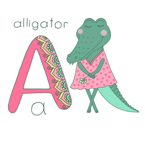 Baby Alligators Cartoon Illustrations Royalty Free Vector Graphics