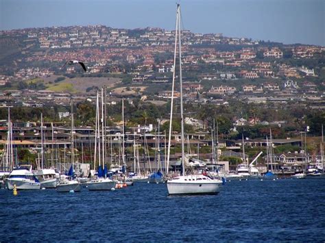 Free Newport Harbor Photos And Pictures Freeimages