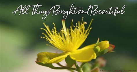 All Things Bright And Beautiful Hymn Believers Portal