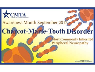 Le type 1, où les patients ont des vitesses de conduction nerveuse . Sensibilisation sur la Maladie de Charcot-Marie-Tooth (CMT ...