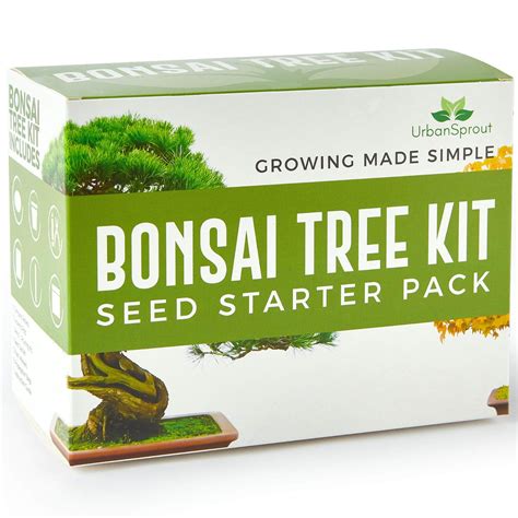 Urban Sprout Bonsai Kit Grow Your Own Bonsai Trees From Seed