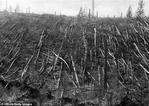 Most Explosive Meteor Impact On Record Known As The Tunguska Event