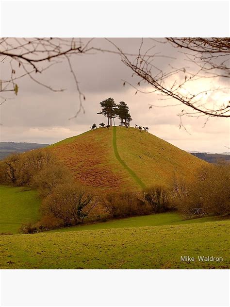 Colmers Hill Art Print By Mikewaldron Redbubble