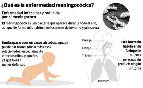 Los 12 Síntomas De La Meningitis En Niños Y Adultos Ideal