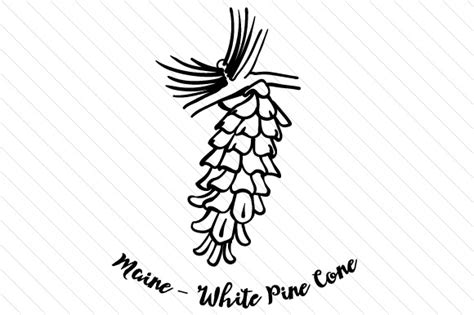 State Flower Maine White Pine Cone SVG Cut File By Creative Fabrica Crafts Creative Fabrica