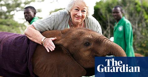 Rescue For Kenyas Orphaned Elephants Environment The Guardian