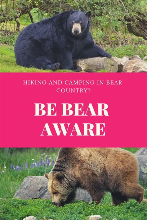 Backpacking And Camping In Bear Country Iucn Water