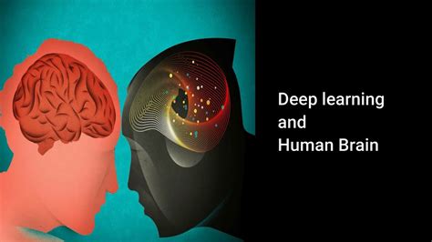 Human Brain And Deep Learning Youtube