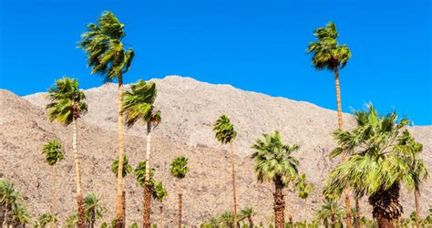 22 Best Things To Do In Coachella Valley California