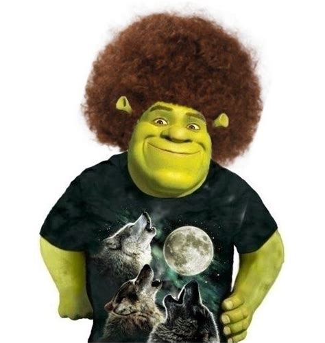 Dj Afro Shrek Shrek Shrek Memes Shrek Aesthetic Cute