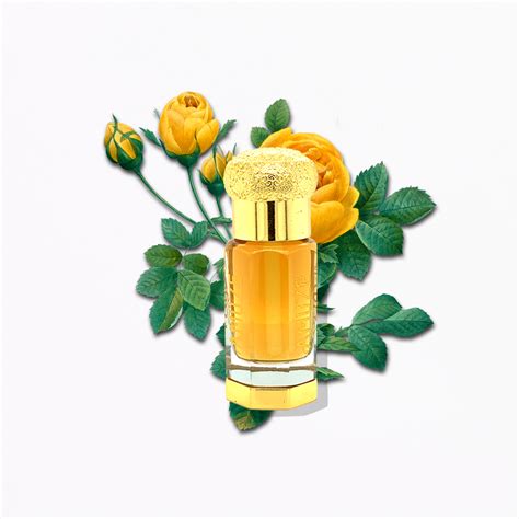 Amber Rose Premium Fragrance Oil Vegan And Cruelty Free Amuze Fragrance