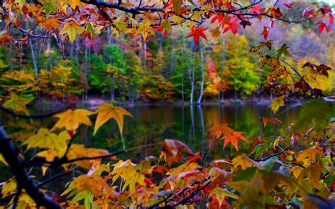 Download Pin Autumn Lake Beauty Desktop Wallpaper Hd By Robertk