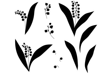 Lilies Of The Valley Flowers Silhouettes Vector Illustration By