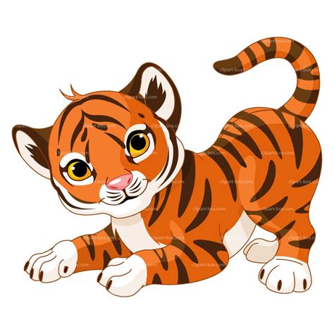 Baby Tiger Clipart Images Illustrations Photos