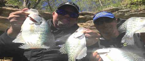 Double Jig Rig For Crappie Rambling Angler Outdoors