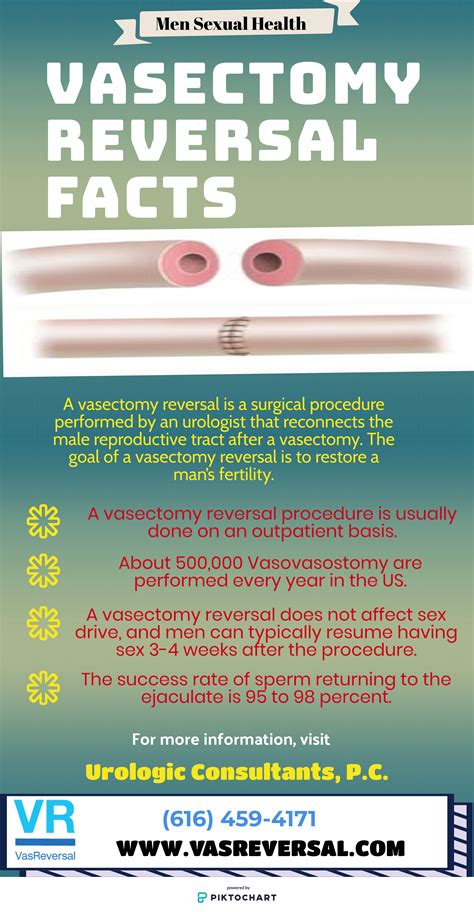 Pin On Vasectomy Reversal