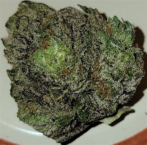Purple Runtz Rcannabisculture