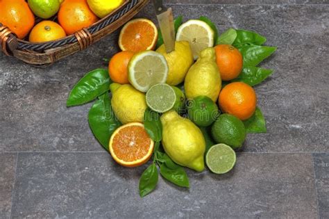 Assortment With Citrus Fruits Stock Photo Image Of Orange Loose