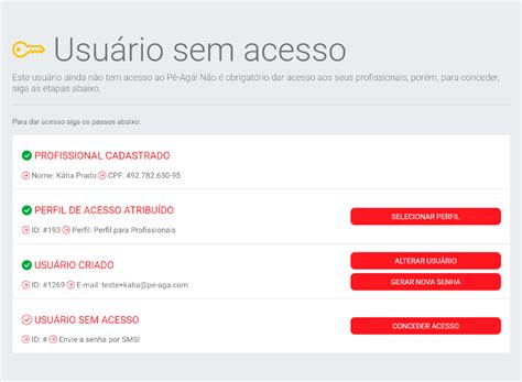 Perfil de Acesso Pê Agá Plataforma de gestão empresarial